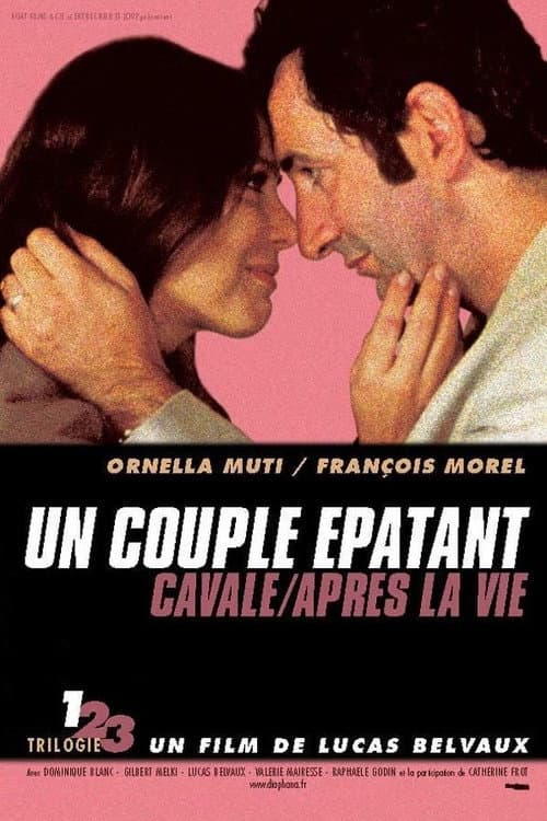 Постер: Un couple épatant