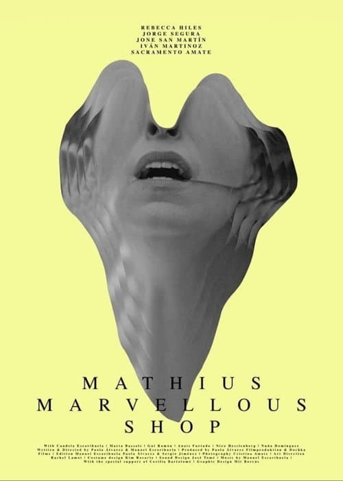 Постер: Mathius Marvellous Shop
