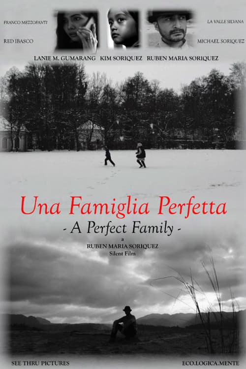 Постер: A Perfect Family