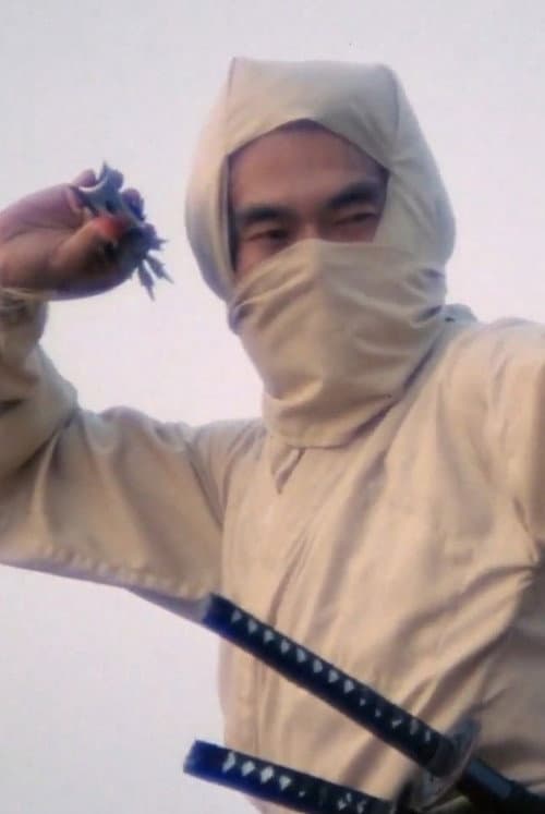 Постер: Re-Enter the 'New York Ninja'