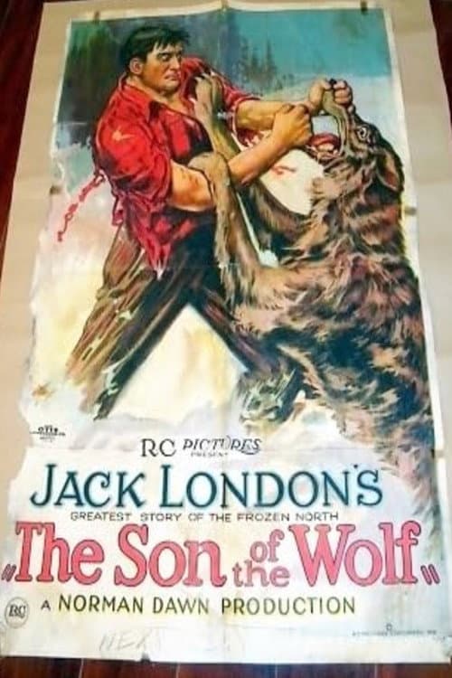 Постер: The Son of the Wolf