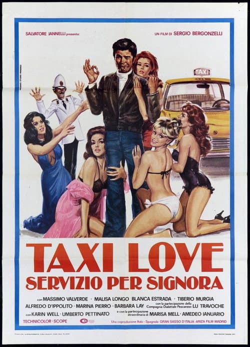 Постер: Taxi Love - Servizio per signora