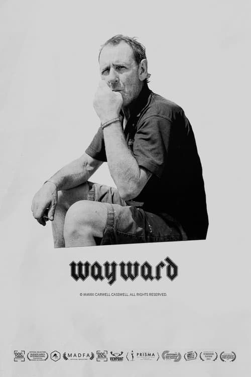 Постер: Wayward