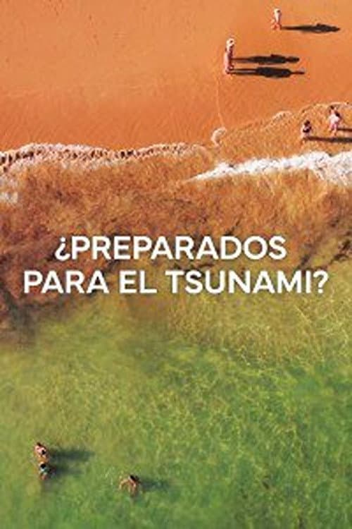 Постер: ¿Preparados para el Tsunami?