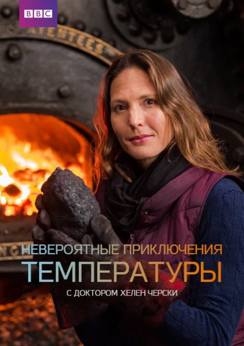 Постер: Невероятные приключения температуры