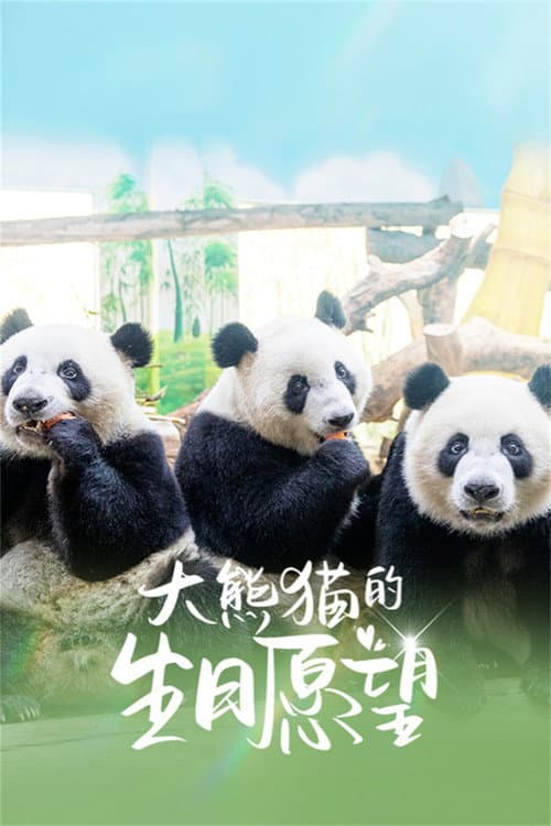 Постер: 大熊猫的生日愿望
