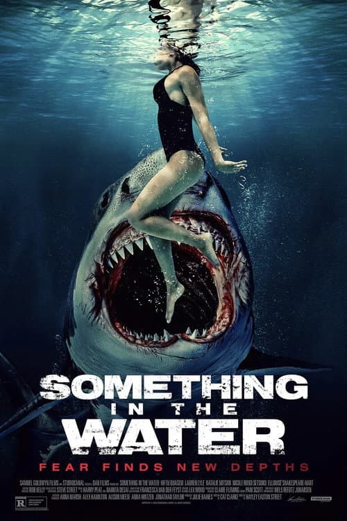 Постер: Something
