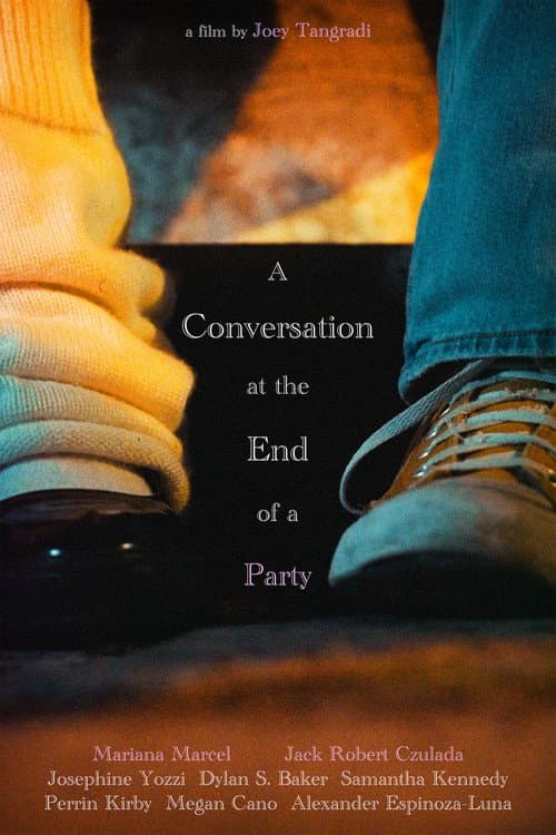 Постер: A Conversation at the End of a Party