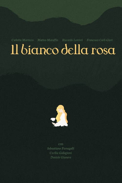 Постер: il bianco della rosa