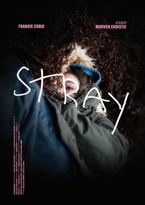 Постер: Stray