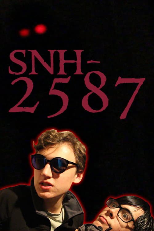 Постер: SNH-2587