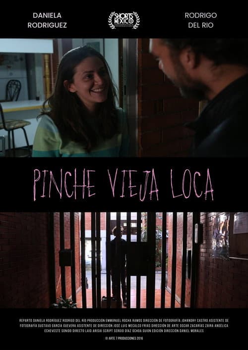 Постер: Pinche Vieja Loca