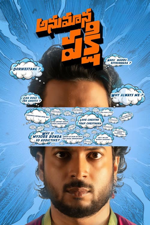 Постер: అనుమాన పక్షి