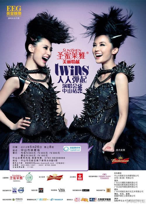 Постер: Twins 2010 Live