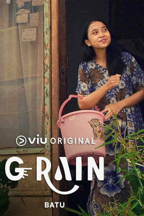 Постер: G-Rain