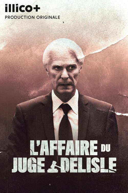 Постер: L'affaire du juge Delisle