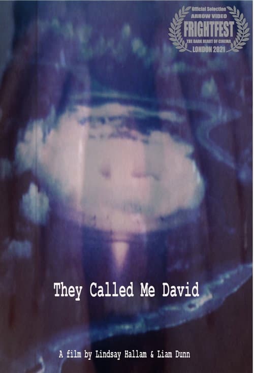 Постер: They Called Me David