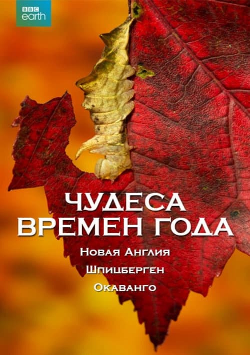 Постер: Чудеса времён года