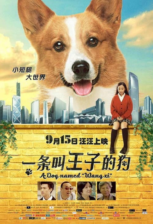 Постер: 一条叫王子的狗
