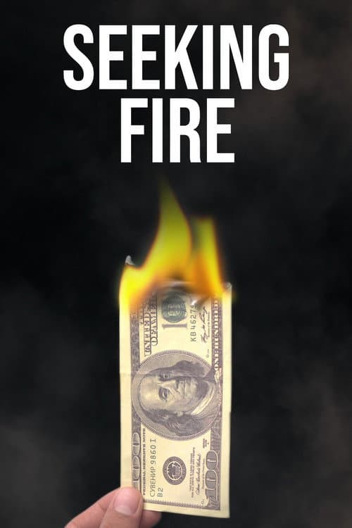 Постер: Seeking Fire