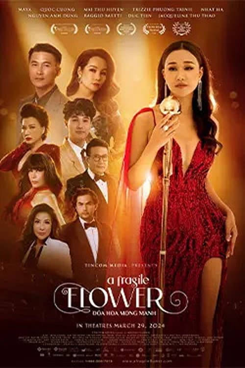 Постер: Một Bông Hoa Mong manh