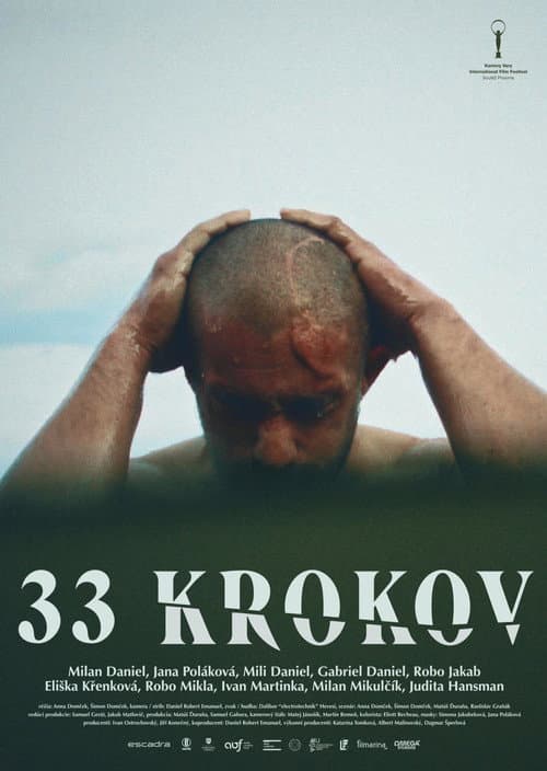 Постер: 33 krokov