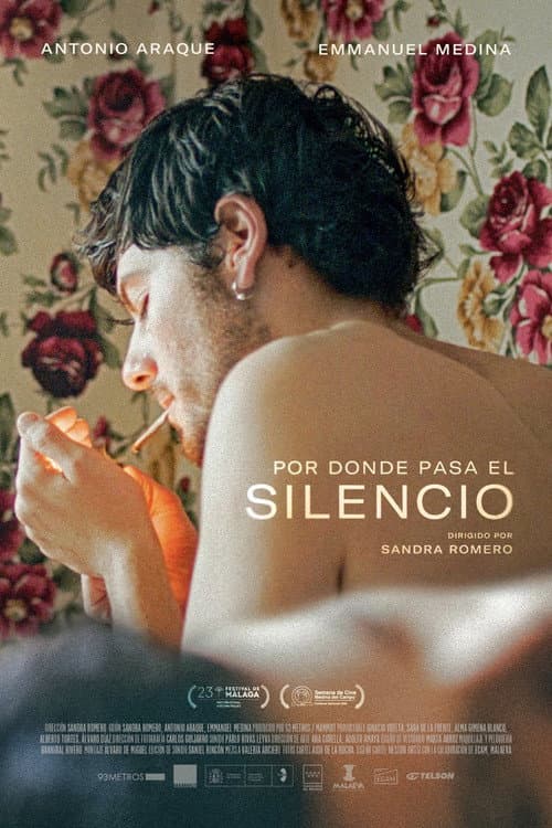 Постер: Por donde pasa el silencio