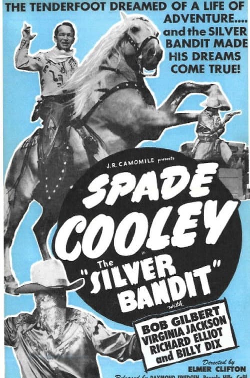 Постер: The Silver Bandit