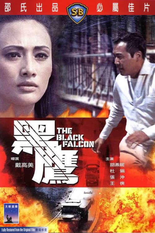 Постер: 黑鷹