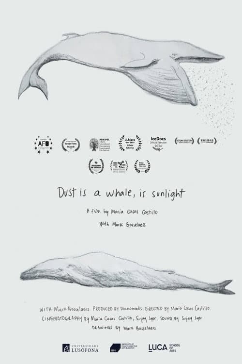 Постер: Dust is a Whale, is Sunlight