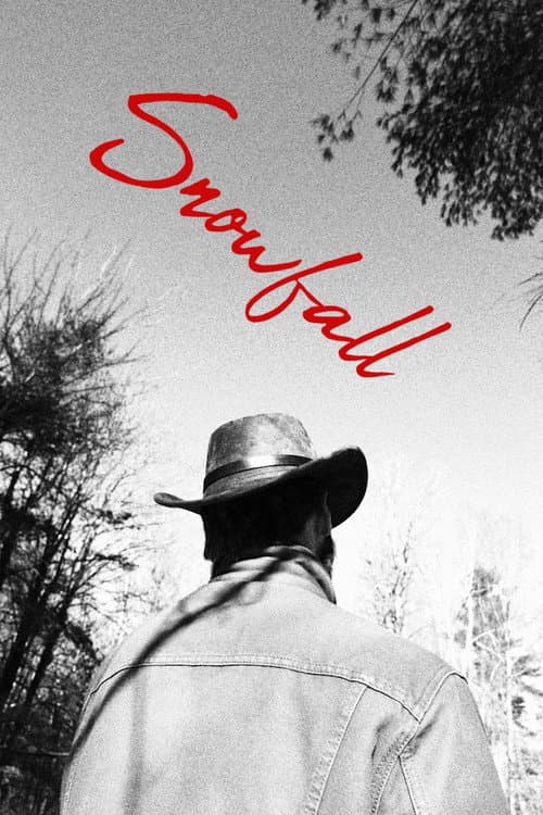 Постер: Snowfall