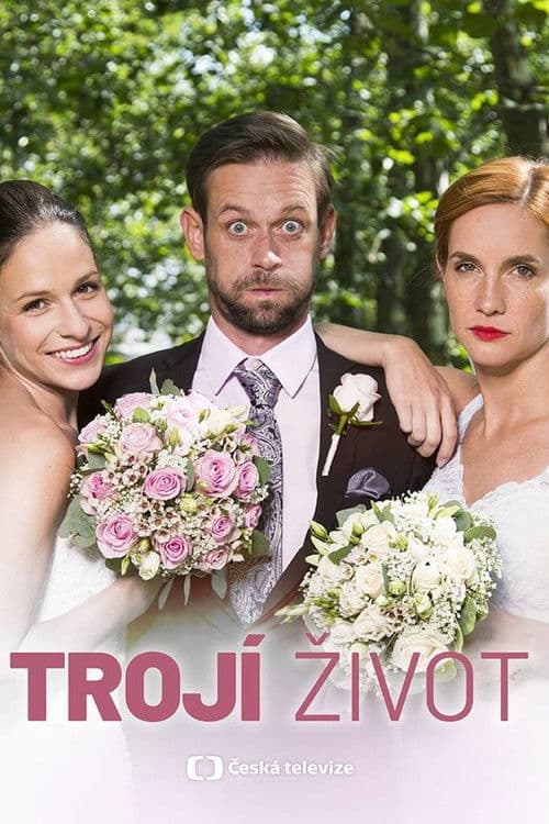 Постер: Trojí život