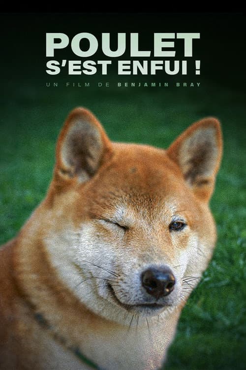 Постер: Poulet s'est enfui !