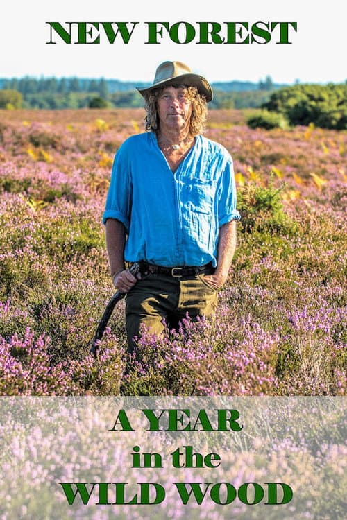 Постер: New Forest: A Year in the Wild Wood