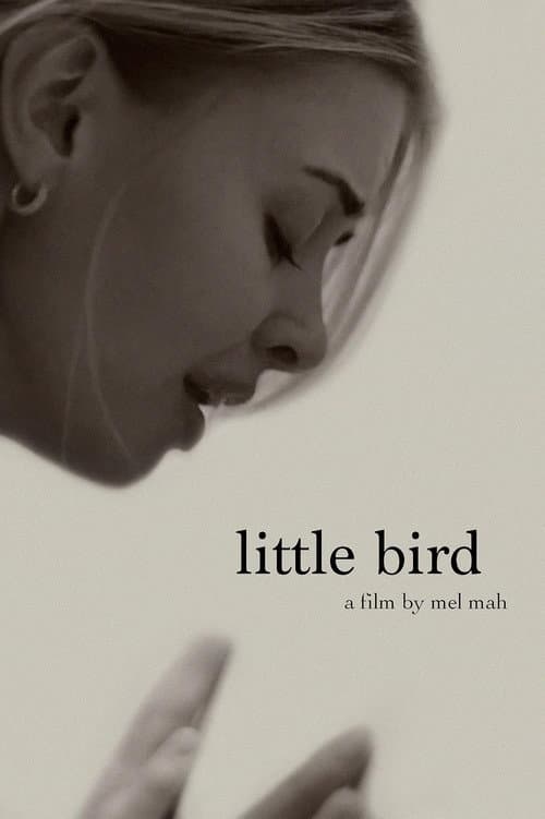Постер: Little Bird
