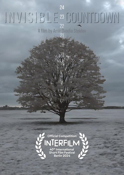 Постер: Invisible Countdown
