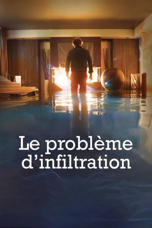 Постер: Le problème d'infiltration