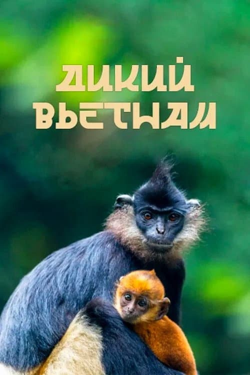 Кадр 2