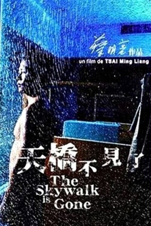 Постер: 天橋不見了