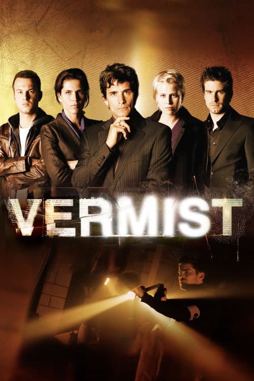 Постер: Vermist
