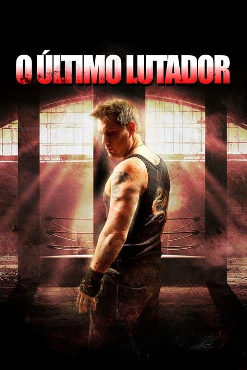Постер: The Last Fighter