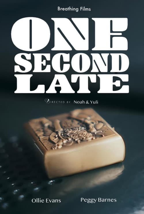 Постер: ONE SECOND LATE