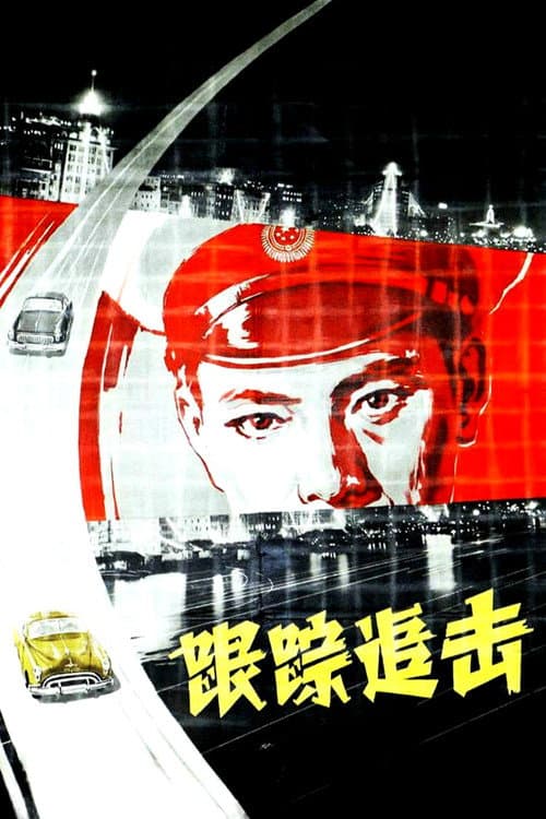 Постер: 跟踪追击