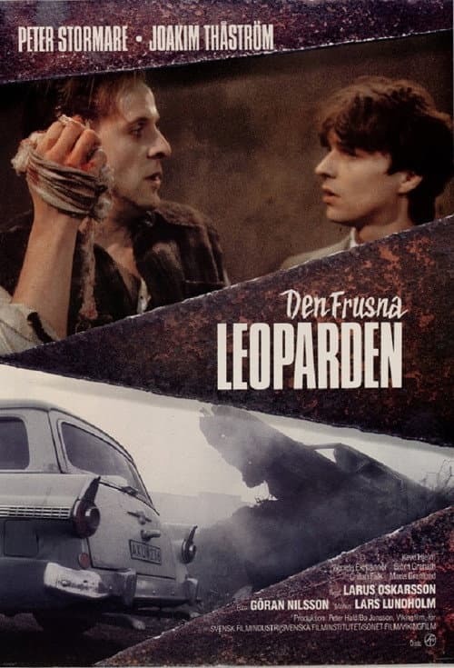 Постер: Den frusna leoparden
