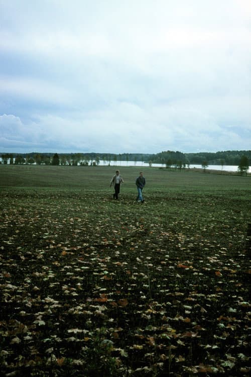 Постер: Småvilt