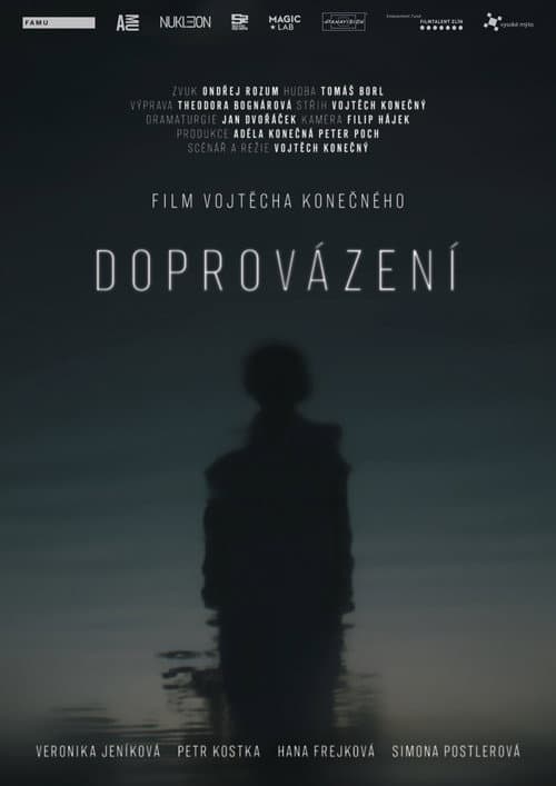 Постер: Doprovázení