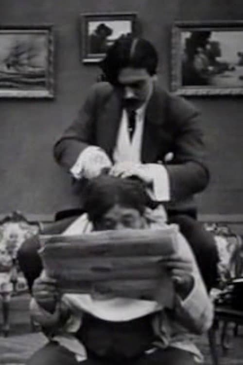 Постер: Coiffeur par amour