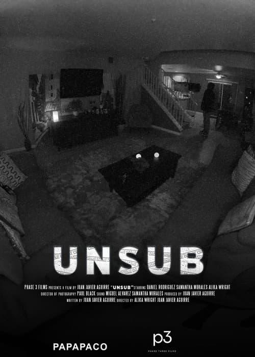 Постер: UNSUB