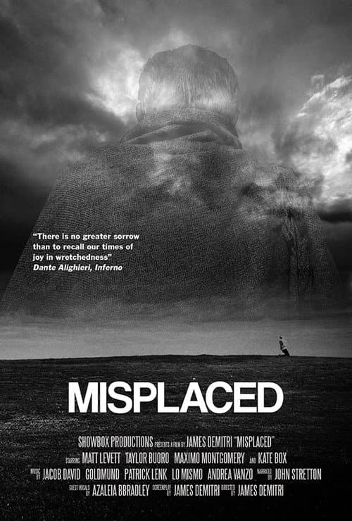 Постер: Misplaced