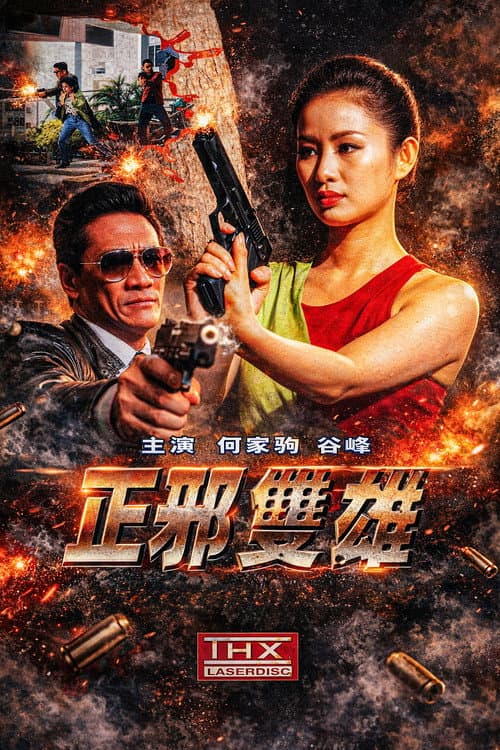 Постер: 正邪雙雄